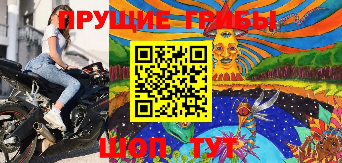 наркотики  Вход с VPN  Верхний Уфалей  Галлюциногенные грибы GOLDEN TEACHER 